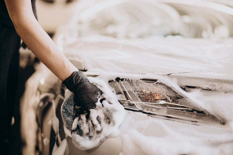 The Meticulous Hand Wash